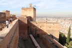 IMG_2163.jpg